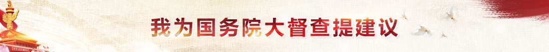 我为国务院大督查提建议