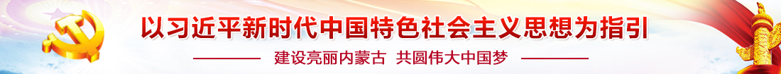 新时代中国特色社会主义