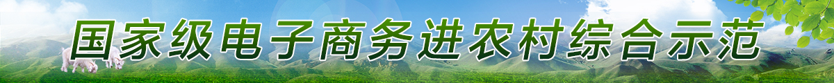 国家级电子商务进农村综合示范