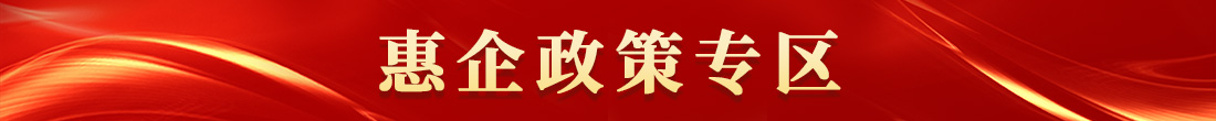 惠企政策专区