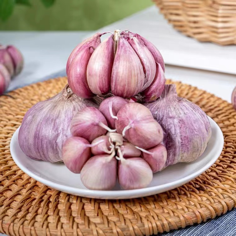 爱包头 作贡献丨我为后脑包村“白宝宝”紫皮蒜代言